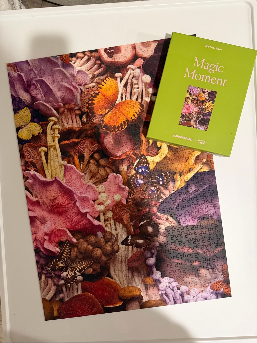 1000-Piece Jigsaw Puzzle - Magic Moment